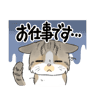 にゃんこ たま（猫）（個別スタンプ：4）