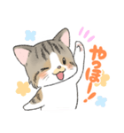 にゃんこ たま（猫）（個別スタンプ：6）