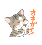 にゃんこ たま（猫）（個別スタンプ：11）