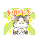 にゃんこ たま（猫）（個別スタンプ：14）