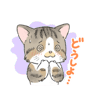 にゃんこ たま（猫）（個別スタンプ：19）