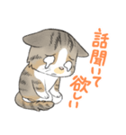 にゃんこ たま（猫）（個別スタンプ：23）