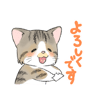 にゃんこ たま（猫）（個別スタンプ：28）