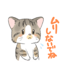 にゃんこ たま（猫）（個別スタンプ：29）