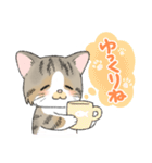 にゃんこ たま（猫）（個別スタンプ：30）