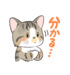 にゃんこ たま（猫）（個別スタンプ：31）