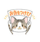 にゃんこ たま（猫）（個別スタンプ：36）