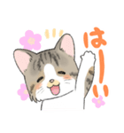 にゃんこ たま（猫）（個別スタンプ：37）