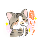 にゃんこ たま（猫）（個別スタンプ：38）