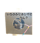 ああアビシニアン家族40（個別スタンプ：11）