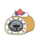 ああアビシニアン家族40（個別スタンプ：35）