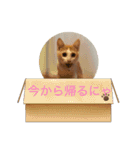 癒し猫スタンプリリー（個別スタンプ：15）