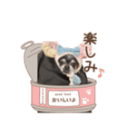 Mystaでつくったやつ（個別スタンプ：4）