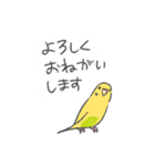 セキセイインコのみどぱんちゃん2（個別スタンプ：6）