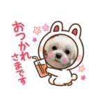 マルチーズのおもち②（個別スタンプ：3）