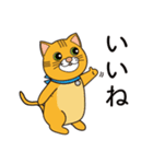 茶とサバの猫さん アウトドアVer.（個別スタンプ：13）