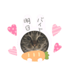 なかせみるちゃん ②（個別スタンプ：7）