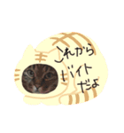 なかせみるちゃん ②（個別スタンプ：10）