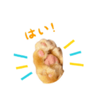 猫助けスタンプ「サノスケ挨拶編」（個別スタンプ：6）
