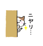 三毛猫のみけちゃん♪（個別スタンプ：23）