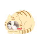 Sweets❤︎castle（個別スタンプ：17）