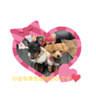 RONI♡LUKE②（個別スタンプ：1）