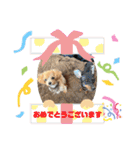 RONI♡LUKE②（個別スタンプ：5）