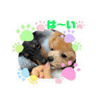 RONI♡LUKE②（個別スタンプ：6）