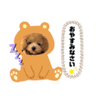 RONI♡LUKE②（個別スタンプ：7）