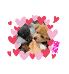 RONI♡LUKE②（個別スタンプ：11）