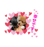RONI♡LUKE②（個別スタンプ：24）
