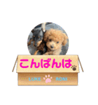 RONI♡LUKE②（個別スタンプ：30）