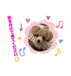 RONI♡LUKE②（個別スタンプ：32）
