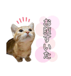 わたなべ うりくん（個別スタンプ：7）