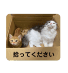 わたなべ うりくん（個別スタンプ：10）