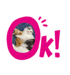 わたなべ うりくん（個別スタンプ：16）