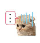 こはくはうるてと（個別スタンプ：3）