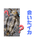 イカの大冒険（アオリストさん）（個別スタンプ：4）