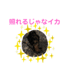 イカの大冒険（アオリストさん）（個別スタンプ：8）