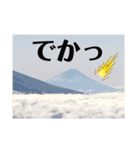 イカの大冒険（アオリストさん）（個別スタンプ：16）