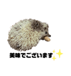 ハリネズミのタワシ君[日常的スタンプ]（個別スタンプ：10）
