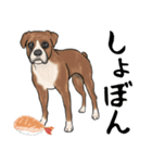 寿司犬 ¥120（個別スタンプ：5）