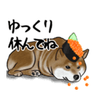 寿司犬 ¥120（個別スタンプ：7）