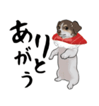 寿司犬 ¥120（個別スタンプ：9）