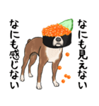 寿司犬 ¥120（個別スタンプ：13）