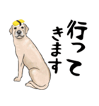 寿司犬 ¥120（個別スタンプ：14）