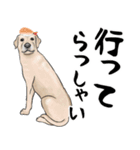 寿司犬 ¥120（個別スタンプ：15）