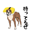 寿司犬 ¥120（個別スタンプ：18）