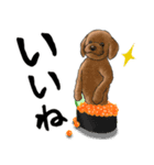 寿司犬 ¥120（個別スタンプ：20）