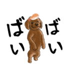 寿司犬 ¥120（個別スタンプ：21）